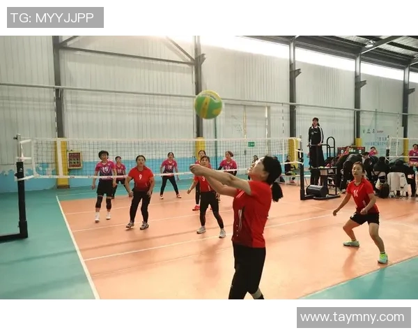 排球激战日本对决泰国昨日比赛精彩瞬间回顾与分析